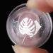 YOXIER Nail Round Head Silicone Stamping Transparent Tool Wear- for Female 1 Set Multicolor - Buy Online on GoSupps.com