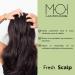  MOI MOISES CAMPO Fresh Scalp Exfoliating Hair Shampoo with Jojoba Beads 250 ml M O I HAIRCARE - Buy Online on GoSupps.com