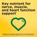Nature_Made Potassium Gluconate 550 mg Dietary Supplement for Heart Health Support 100 Tablets 100 Day Supply + Bonus Pill Organizer Weekly Pill Organizer Mini - Buy Online on GoSupps.com