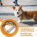 6m Dog Tie Out Cable | Shock-Damping Spring | Bite-Proof Leash for Small & Medium Dogs | Orange Camping Training Linen - Buy Online on GoSupps.com