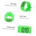 Amosfun 200 Pcs Pigeon Anklet Baby Things Baby Supplies Bird Ring Foot Ring for Pigeon to Open Xuan Feng 1.3X1.3CMx2pcs Greenx2pcs - Buy Online on GoSupps.com