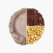 Bulk Vegan All in One Protein Powder Chocolate Peanut 2.5kg - Plant-Based Supplement - Buy Online on GoSupps.com
