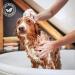 Talc Balancing Cream for Puppies & Kittens - 500ml | IV San Bernard - Gentle Cleaning for Young Animal Coats - Buy Online on GoSupps.com