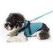 Petcute Blue Dog Rain Jacket - Waterproof Windproof & Reflective Adjustable Coat for Small Medium & Large Dogs (2XL) - Buy Online on GoSupps.com