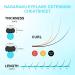 Nagaraku Ellipse Flat Eyelash Extensions - Professional Double Split Tip Individual Lashes U-Shaped Design 16 Rows (0.15mm C Curl 8-15mm) - Mat Black - Buy Online on GoSupps.com