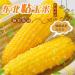 Delicious yellow glutinous corn stick sweet corn fresh corn vegetable snacks nutritious breakfast Coarse grains cereal Dim sum dessert sweets Chinese snack gift pack convenience food (8 bags) - Buy Online on GoSupps.com