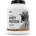 Levels Grass Fed 100% Whey Protein  No GMOs  Chocolate Peanut Butter  5LB Chocolate Peanut Butter 5 Pound (Pack of 1)
