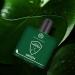 T.he M.an C.ompany EDP for men 100ml Polo Green | Premium Perfume | Long-lasting Fragrance | Perfect for Men | Peach Lavender & Patchouli | Made with Essential Oils - Buy Online on GoSupps.com