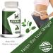 H&C Gurmar Capsules (Gymnema Sylvestre) 900mg - 120 Vegan Capsules | Healthy Blood Sugar & Metabolic Wellness Support - Buy Online on GoSupps.com