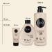 Zenz Sweet Sense No. 05 Conditioner 250ml | Bergamot & Orange Blossom | Volume & Moisture | Silicone-Free | For Normal & Fine Hair - International Shipping - Buy Online on GoSupps.com