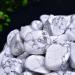White Howlite Healing Crystal Stones 1.25-2.0 Large | Natural Tumbled Gemstones for Reiki, Energy, and Meditation - Buy Online on GoSupps.com