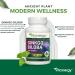 Vitanergy Ginkgo Biloba Enhanced Bioavailability for Cognitive Function & Peripheral Circulation Support 60mg 60 Capsules - Canadian Made - Buy Online on GoSupps.com