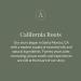 Archipelago Botanicals Morning Mint Hand Wash - Gentle Daily Soap, Cleanse and Hydrate (17 fl oz) - Buy Online on GoSupps.com