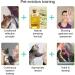 SEGMINISMART Anti-Scratch Training Spray for Cats and Dogs - Protect Plants, Furniture, Floors - Cat Deterrent - Buy Online on GoSupps.com