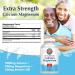 KAL Extra Strength Calcium Magnesium 1000mg/500mg | Healthy Bones & Teeth Support | Rapid Disintegration | Vegetarian | 250 Tablets - Buy Online on GoSupps.com