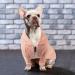 Meioro Pink Zipper Hood Dog Sweater - Cute Warm Winter Pet Clothes for French Bulldogs & Puppies (XS) - Buy Online on GoSupps.com