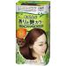 Kao Blaune Fragrance and Gloss Hair Color Cream - 5 NA Deep Natural Brown (Green Tea Set)