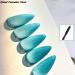 12ml Cat Eye Gel Soak Off Gel Nail Polish Blue Nail Varnish UV LED Gel for Nail Art Easy Coloring Manicure Tool - (Color: Blue) - Buy Online on GoSupps.com