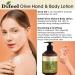 Difeel Olive Oil Hand and Body Lotion 16.9 oz | Nourishing Moisturizer for Soft Skin - Best eCommerce Shipping Internationally - Buy Online on GoSupps.com