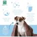MENFORSAN Odour Eliminating Dog Shampoo - Removes Bad Odours Talc Infused 1L Best Pet Care for Fresh & Clean Coats - Buy Online on GoSupps.com