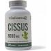 Cissus Quadrangularis Extract Capsules 8000 mg per Serving 240 Count - 120 Servings Gluten Free Non-GMO and Vegetarian Friendly 240 Count (Pack of 1) - Buy Online on GoSupps.com