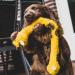 Nobby Plush Toy Giraffe for Dogs - 55 cm | Durable Rope Inside | International Shipping - Buy Online on GoSupps.com