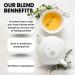 Daily Detox Cleanser - Peppermint Dandelion Root Ginger Tulsi Rooibos Licorice Hibiscus Echinacea Mullein - 100% Organic Herbs - No Additive - Buy Online on GoSupps.com