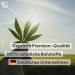 Magamed Premium Hemp Seed Oil 20% - 10ml Vegan Drops | Organic High Dose Hemp Oil | Lab-Tested Quality - Buy Online on GoSupps.com