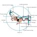 Adjustable Finger Orthosis Multifunctional Wrist Physiotherapy Training for Both Right and Left Hands - Buy Online on GoSupps.com