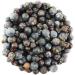 Juniper Berries 5kg (BWFO) - Buy Online on GoSupps.com