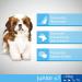 PERFECT FIT Chicken Croquettes - For small puppies - 10kg- - 1.4 kg - Buy Online on GoSupps.com