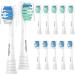 Replacement Toothbrush Heads for Philips Sonicare Replacement Heads Replacement Brush Heads Compatible with Philips SoniCare Electric Toothbrushes Handle for Snap-on System 12 Packs 1 Count (Pack of 12)
