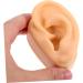 NOLITOY Silicone Ear Model Prank Props - Realistic Ear Mold Earrings & Earplugs for Fun Decor - Buy Online on GoSupps.com