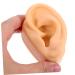 Beavorty Silicone Ear Mold Supplies for Body Acupuncture & Jewelry - Perfect for Pranks & Toy Making - Buy Online on GoSupps.com