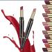 Duo Lipstick Lip Liner 2-in-1 Retractable Makeup Tool | Long-Lasting Matte Lip Color DLS3 - Buy Online on GoSupps.com