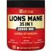 35 in 1 Lions Mane Mushroom Capsules Equivalent to 20000mg with Cordeyceps Reishi Elderberry Ashwagandha Panax Ginseng Focus Memory and Brain Support Supplement Immune Support Energy Pills