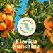 Florida Sunshine Querc tine Liposomale - 120 G lules (250mg) | Soutien immunitaire | Antioxydant | Anti-inflammatoire | Soulagement des allergies | Sant cardiovasculaire | Haute absorption | Formule - Buy Online on GoSupps.com
