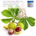 Buy Cristinenmoor Horse Balm with Devil Claw 2 in 1 - 200ml | Original Cooling Ointment for Humans - Extra Strong Muscle & Joint Care with Rosemary - Buy Online on GoSupps.com