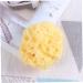 Buy Housoutil 3 Pcs Exfoliating Face Sponges - Honeycomb & Seaweed Bath Sponges for Men | International Shipping Available - Buy Online on GoSupps.com