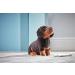 Living Nature Soft Toy Gift Bundle - Plush Dachshund Sausage Dog & Puppy - 20cm and 16cm - Dachshund Bundle - Buy Online on GoSupps.com