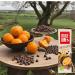 Mulebar - Energy bar - Chocolate - 40g - Orange - Organic - Vegan - Made in France - Buy Online on GoSupps.com