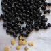 GLORIOUS INHERITING Black Soybean with Yellow Kernel - 500g Retail Bag - Premium Quality for International Shipping - Buy Online on GoSupps.com