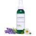 Lavender Sleep Spray for Pillows, Linens & Pajamas Natural Calming Lavender & Chamomile Aromatherapy Mist with Amethyst & Reiki Energy. Deep Sleep + Bedtime Relaxation for Adults & Kids. 4 ounce (1) Chamomile (1 Pack) - Buy Online on GoSupps.com