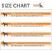 Thunder Dogs Classic Anxiety Vest for Small Dogs - Calming Shirt for Anxiety Relief - Buy Online on GoSupps.com