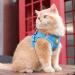 Neuwehe Cat Dishes & Leash Set | Adjustable Cat Harness for Small Dogs & Big Cats (L Blue) | Outbreak-Proof Cat Tableware - Buy Online on GoSupps.com