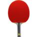 Killerspin Diamond TC Flared - Premium Table Tennis Paddle - Buy Online on GoSupps.com