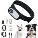 TwoWin Cat Camera Collar | 1080P HD Mini Body Camera with 8GB SD Card | Wireless Action Camera for Dogs & Cats | Perfect Indoor/Outdoor Gift - Buy Online on GoSupps.com