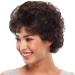 Parrucche Nere Ricce per Donne - Wig Corti Marroni in Fibra Termoresistente | Aspetto Naturale | Spedizione Internazionale - Buy Online on GoSupps.com