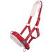 Netproshop Cavesson Lunging Aid for Shetland Pony & Cob - Full Size Red | Optimal Groundwork Training Tool - Buy Online on GoSupps.com