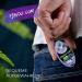 Flavouroom Aroma Click - 100 Premium Balls for DIY Ice Blueberry Flavor | Easy Use & Practical Box - Buy Online on GoSupps.com